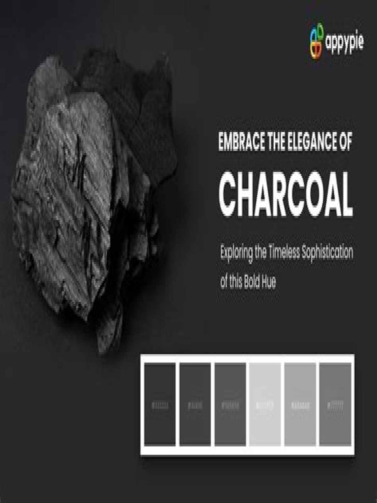 charcoal color