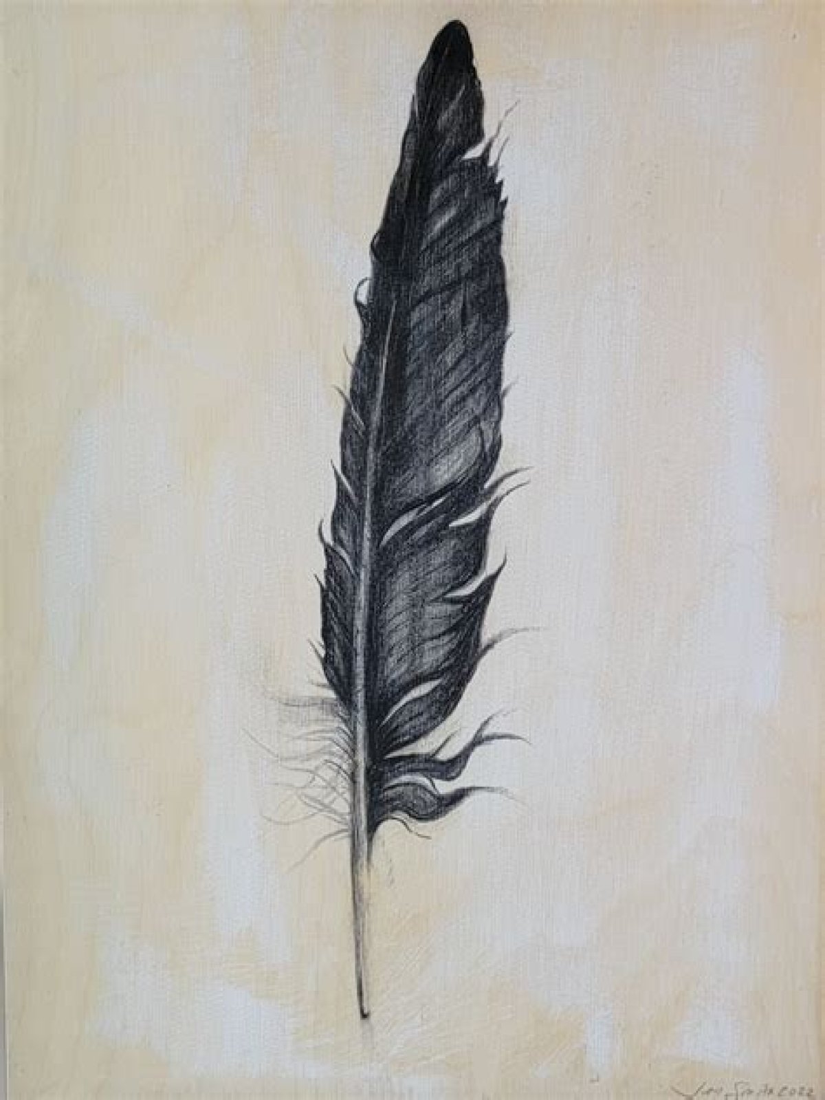 raven feather