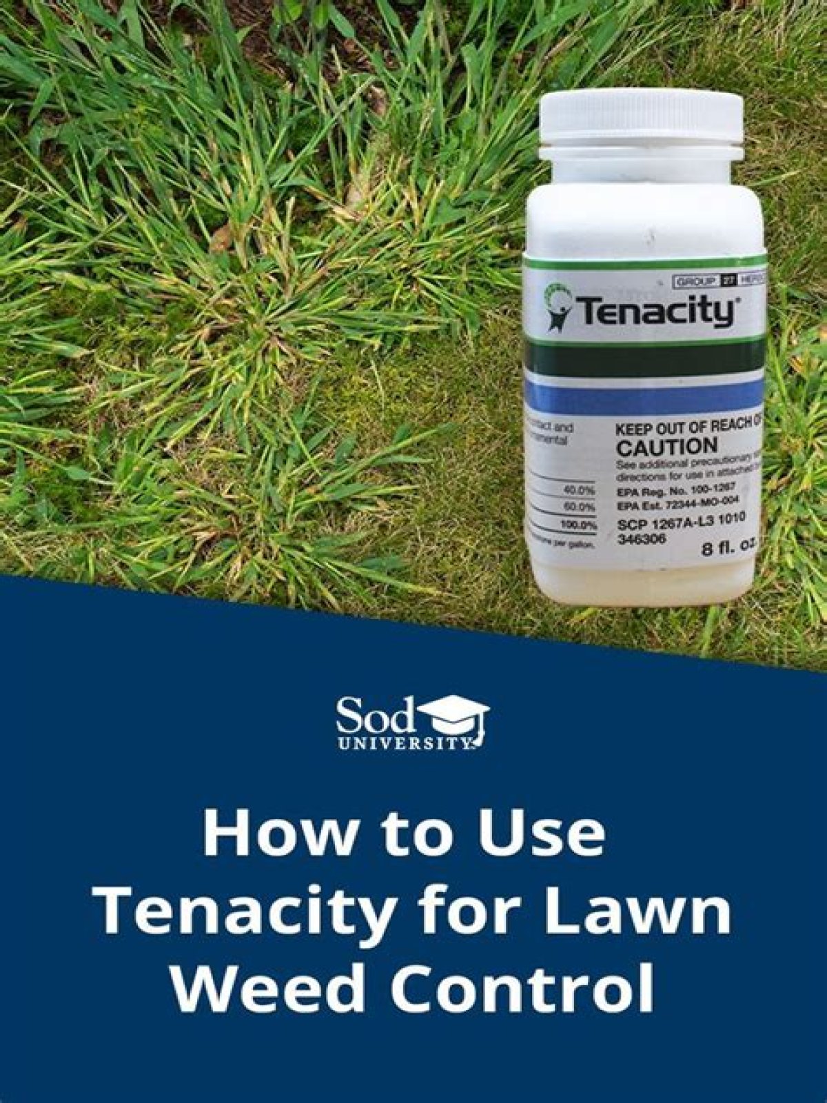 tenacity weed killer