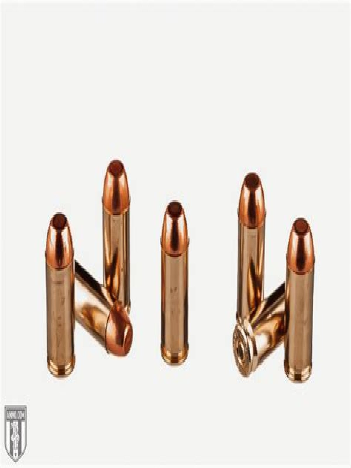 What is the most accurate 10mm ammo?