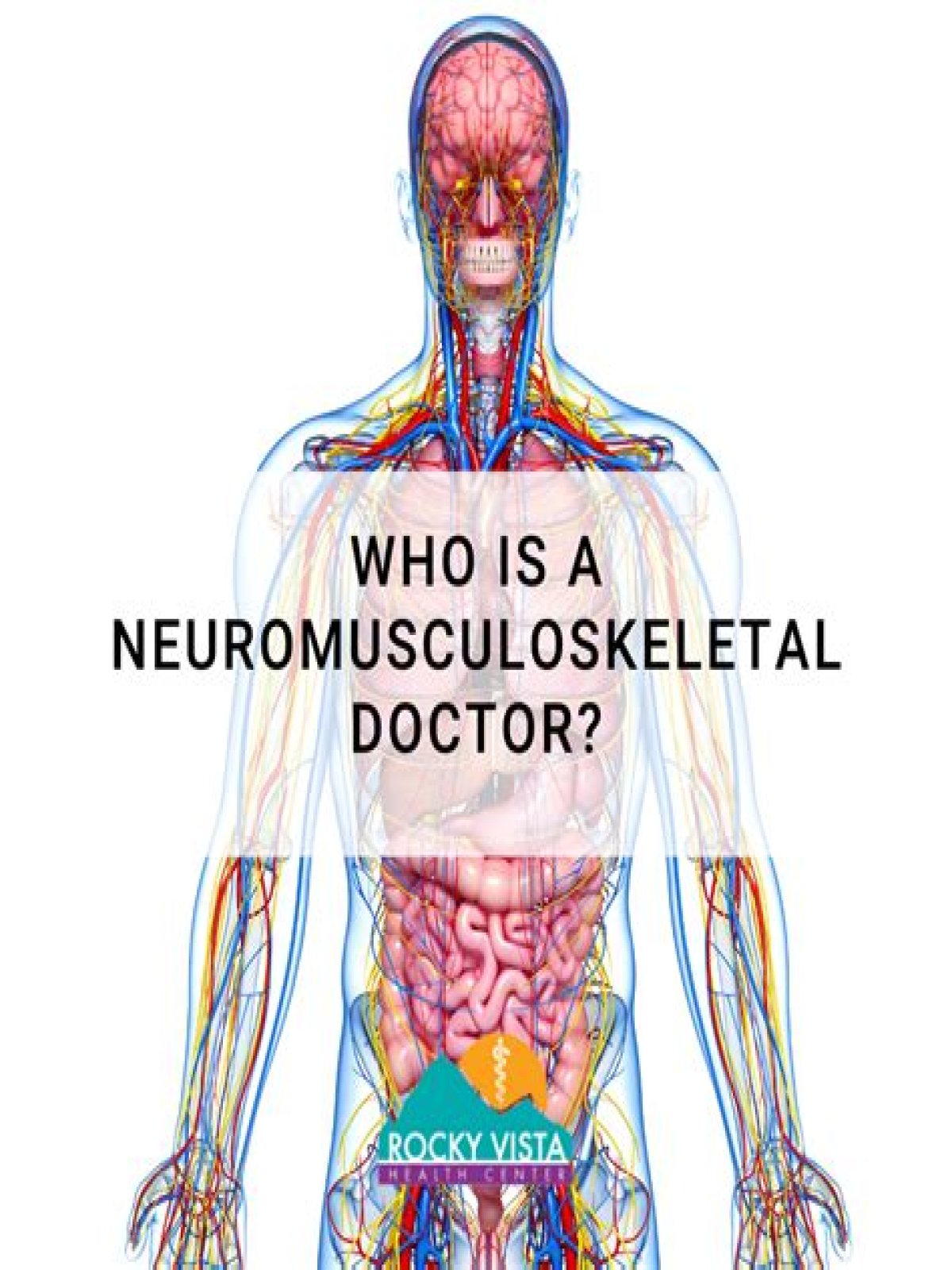 What kind of doctor is Neuromusculoskeletal?